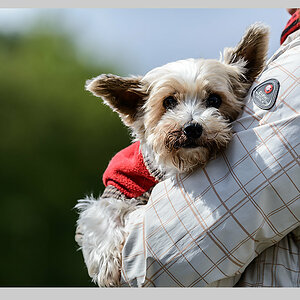 VGO_4153_1000.jpg