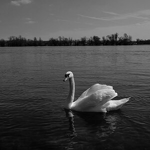 P1000741akleinsw.jpg