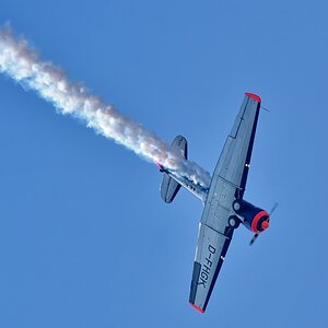 DSJ_2330_1_nff.jpg
