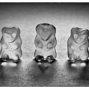 Gummiteddy