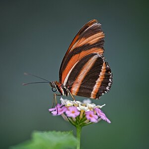 VG_850_1335_on1_1400.jpg