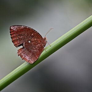 VG_850_1376_on1_1400.jpg