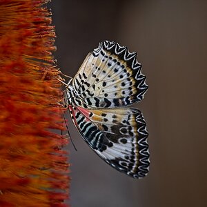 VG_850_1473_on1_1400.jpg