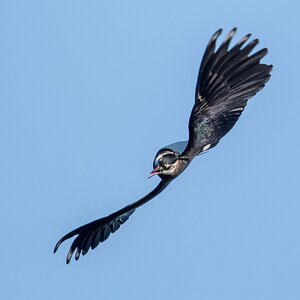 D50_9651_SpiralflugIA_4_2019.jpg