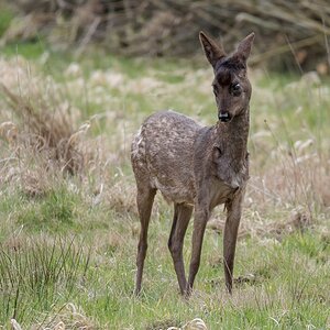 D50_9412_wer ist da nur IA_3_2019.jpg