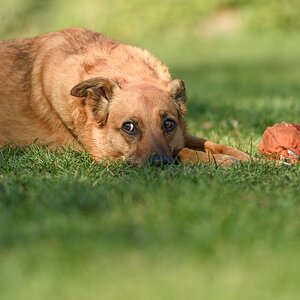 comp__J000211.jpg