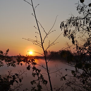 DSC_9356_01.jpg