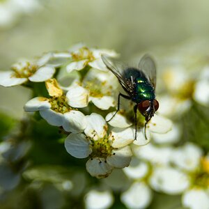comp_DSC_5406.jpg