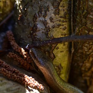 comp_DSC_5465.jpg