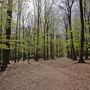 _DSC9279_01.jpg