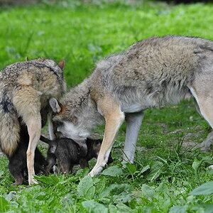 20090605  DSC3011