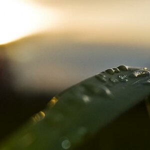 Wasser