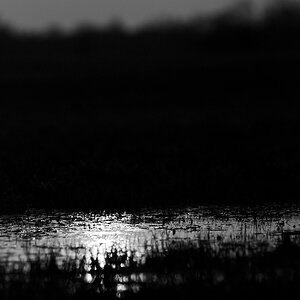 Moor 03 www