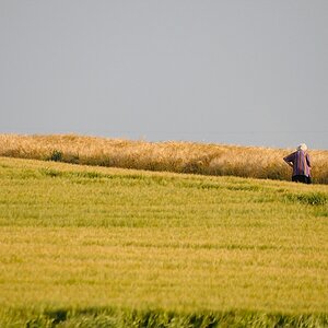 comp Alte Bäuerin am Feld farbig