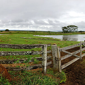 Pantanal Pano2