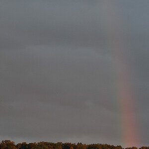 Regenbogen