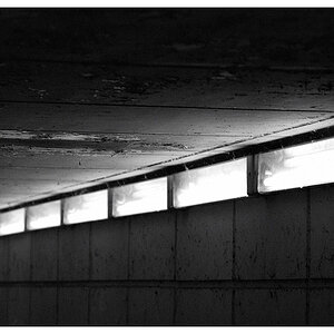 licht
