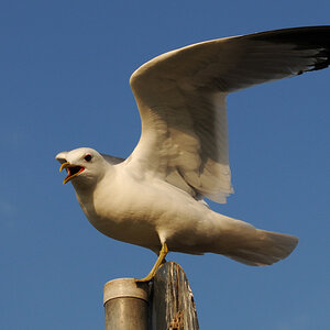 DSC 8057 Abflug w