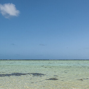 Heron Island Riff.jpg