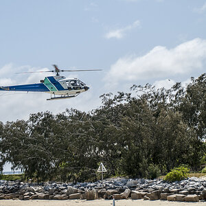 Heron Island Hubschrauber.jpg