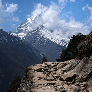 DSCF0743.jpg