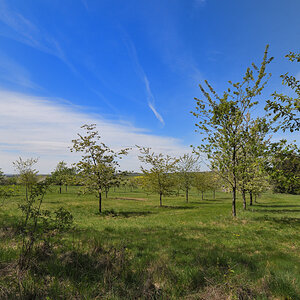 L190422-02.JPG