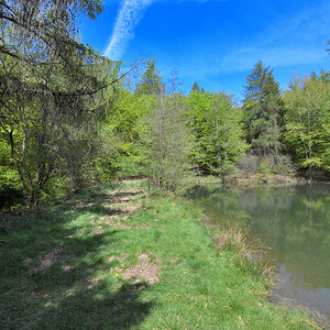 L190422-09.JPG