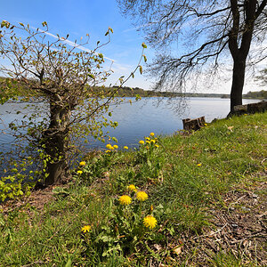 L190422-13.JPG