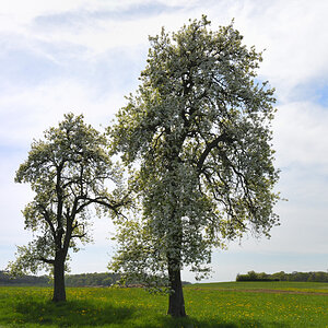 L190422-16.JPG