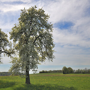 L190422-18.JPG