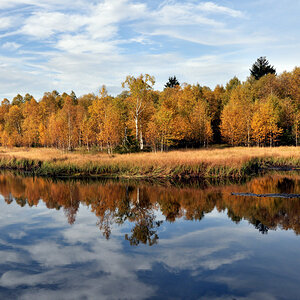 Stausee am Roten Moor in der Rhön