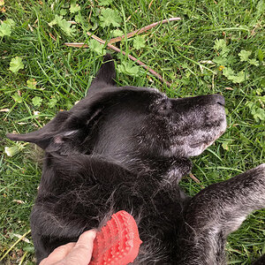 IMG_20190426_1440024.jpg