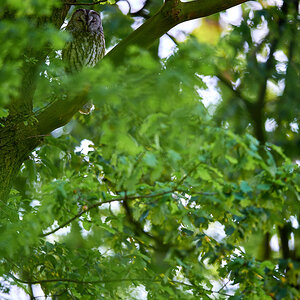 DSC_5560 1.jpg