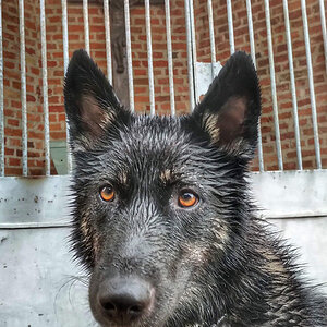 IMG_20190427_1355137~2-01.jpg