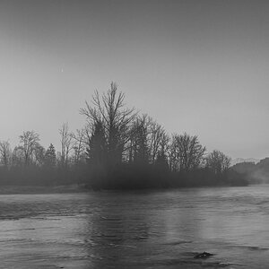 Leichter Nebel an der Aare.jpg