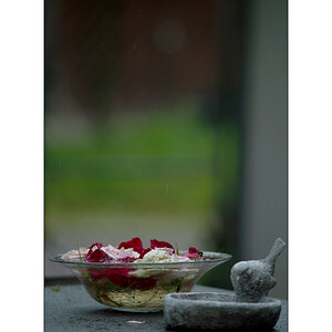 AusPZ1_1148.jpg