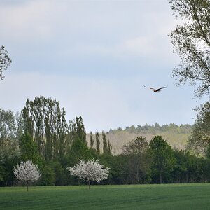 AK1_5346