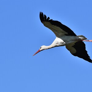 AK3_5610
