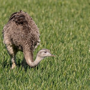 D50_1041_erstmal wegducken IA_4_2019.jpg