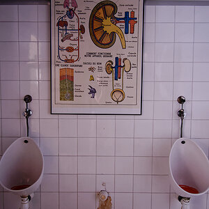 DSC_0412.jpg