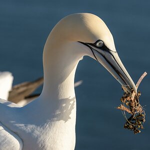 comp__H011112.jpg