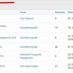 schnellesuche2.jpg