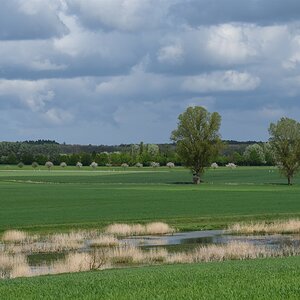 DSC_1263_00001.jpg