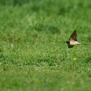 DSC_6379 1.jpg