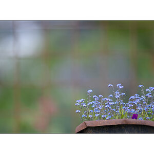 AusPZ1_1214.jpg