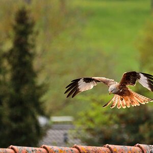2019_10439.jpg