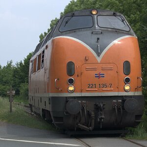 dsc_139.jpg