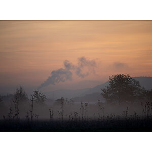 MorgenPZ1_1238.jpg
