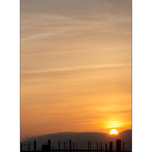 MorgenPZ1_1240.jpg