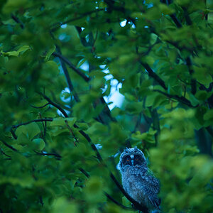 DSC_7348 1.jpg